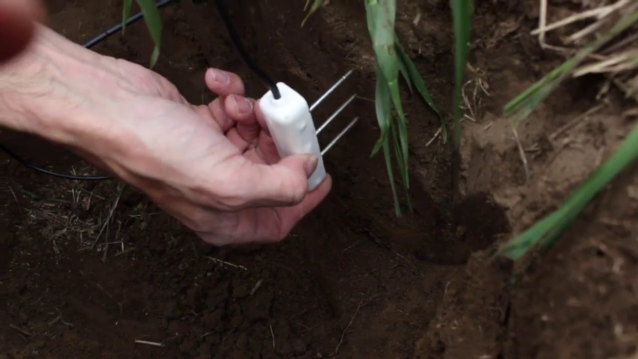 Soil Moisture Sensor Installation