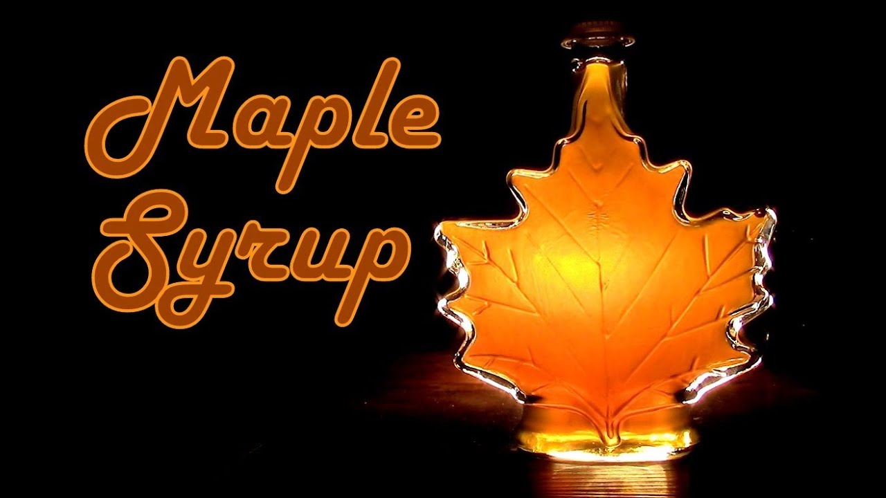 How to Make Maple Syrup- Everything you need to know