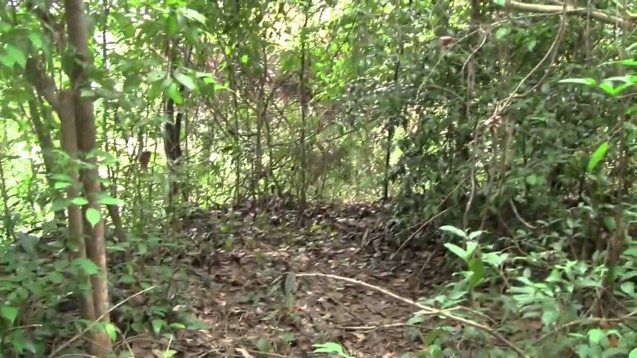 Sri Lanka Forest Monastery Tour