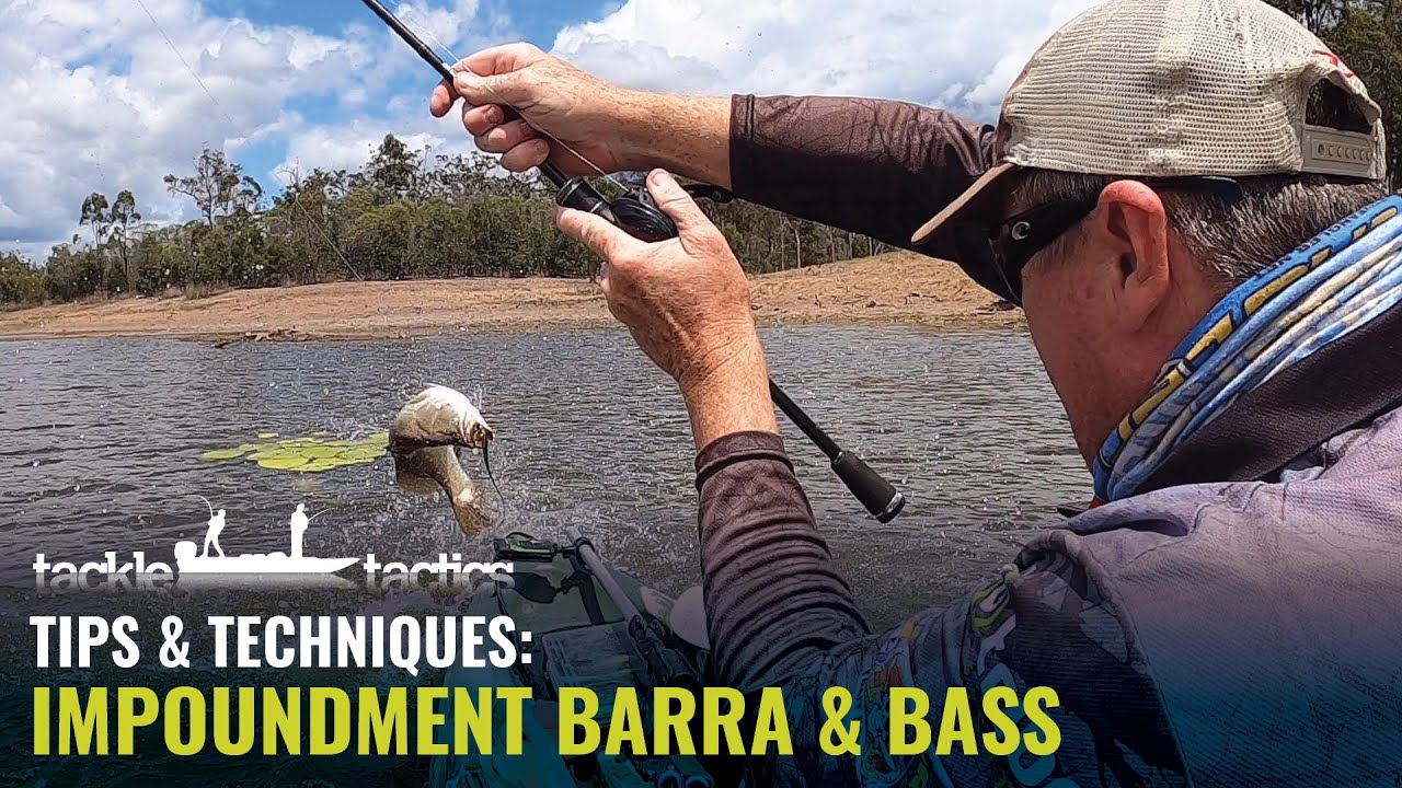 Impoundment Barra & Bass Fishing + Chewy's Loop Knot