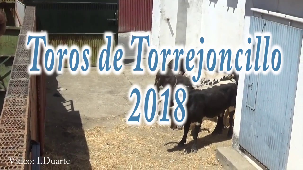TOROS DE TORREJONCILLO 2018