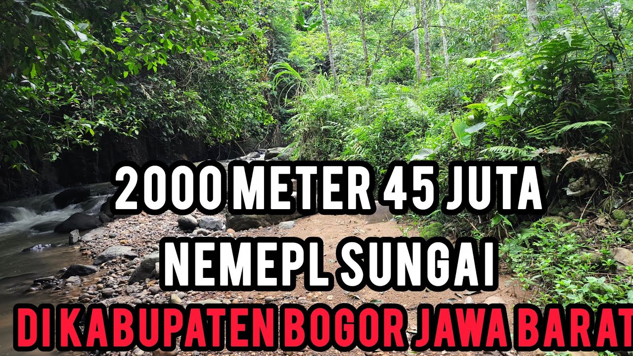 Dijual cepat tanah murah di Bogor 