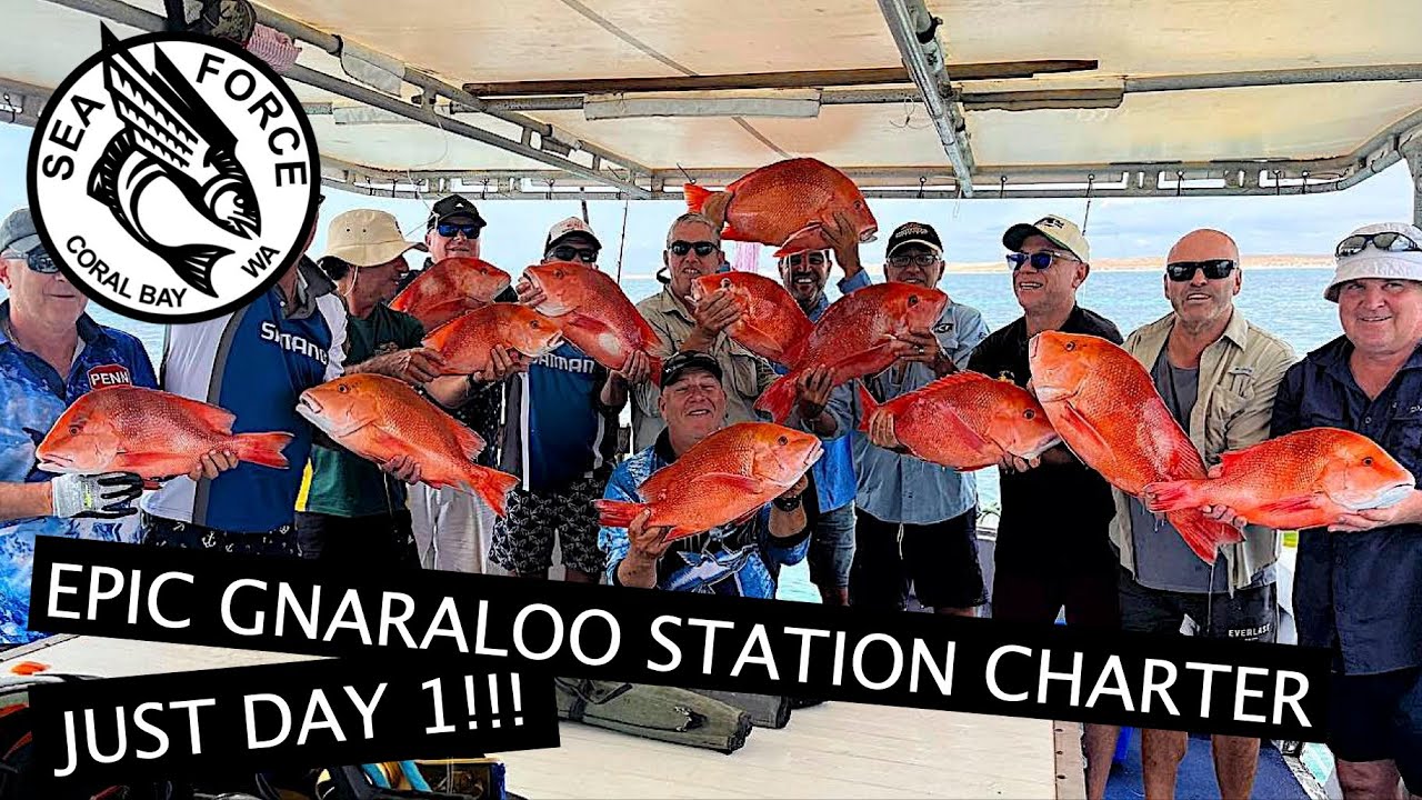 RED EMPEROR BAG OUT!!! - Gnaraloo / Cape Farquhar, Remote Station Fishing Charter.