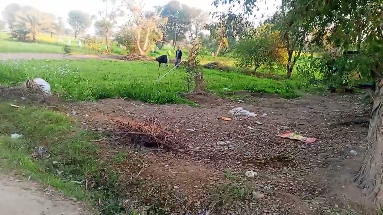 ماشاء اللہ جی یہ ہمارے گاؤں کا بہترین ولاگ ہے جی دیکھے اور انجوائے کریں لائک کمنٹ اور سسکرایب کریں