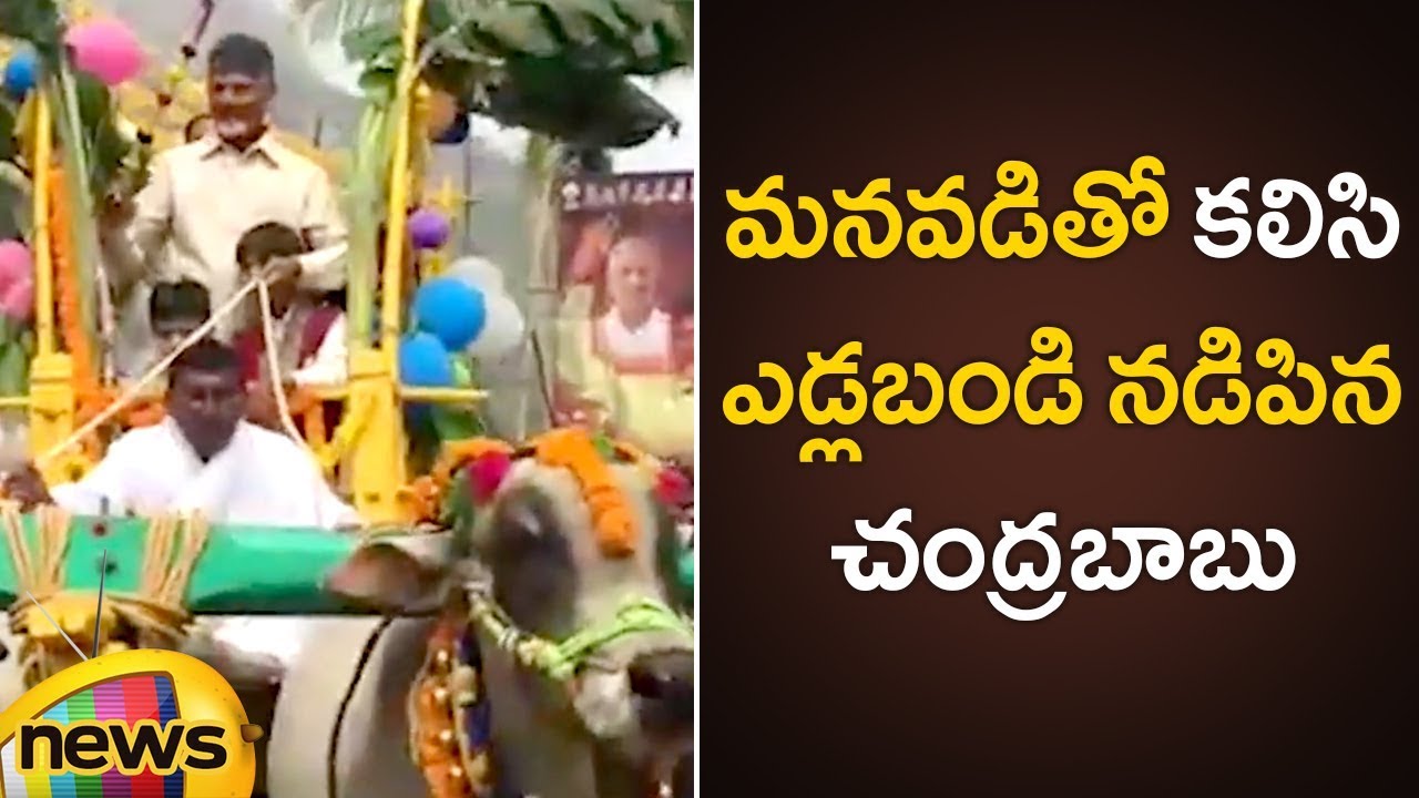 Chandrababu Naidu Sankranthi Celebrations at Naravaripalli With His Grand Son | AP CM Latest News