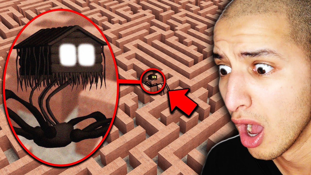 HOUSE HEAD IN A MAZE... (Scary)
