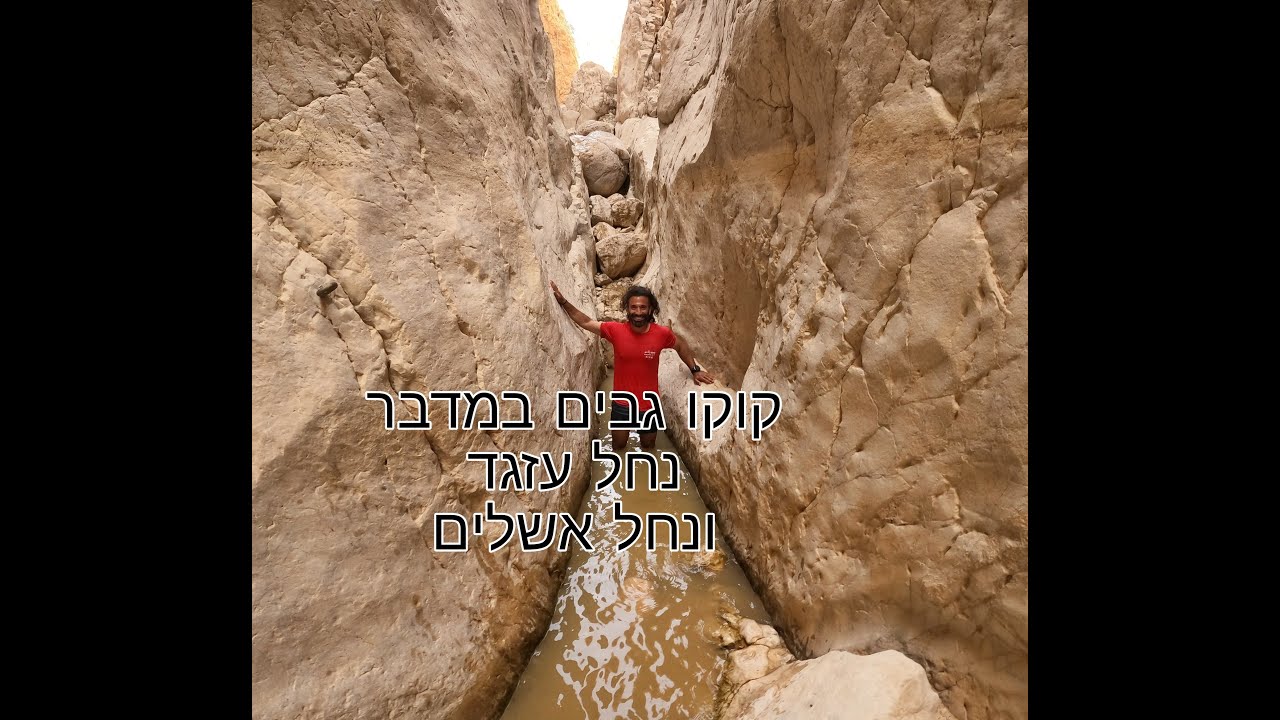 קוקו בנחל עזגד ונחל אשלים