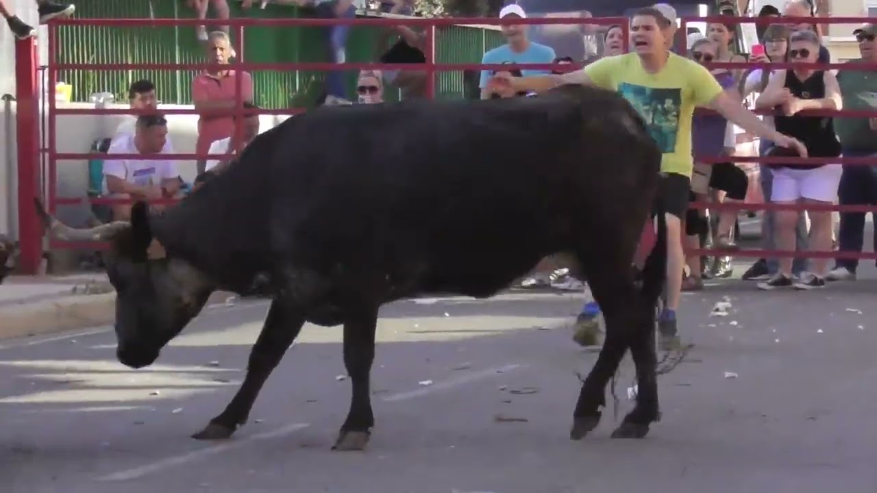 ZUERA, FIESTAS VIRGEN DEL SALZ 2025  ROSCADEROS, RECORTES, SUSTOS Y ALGUN REVOLCÓN  7 6 2025