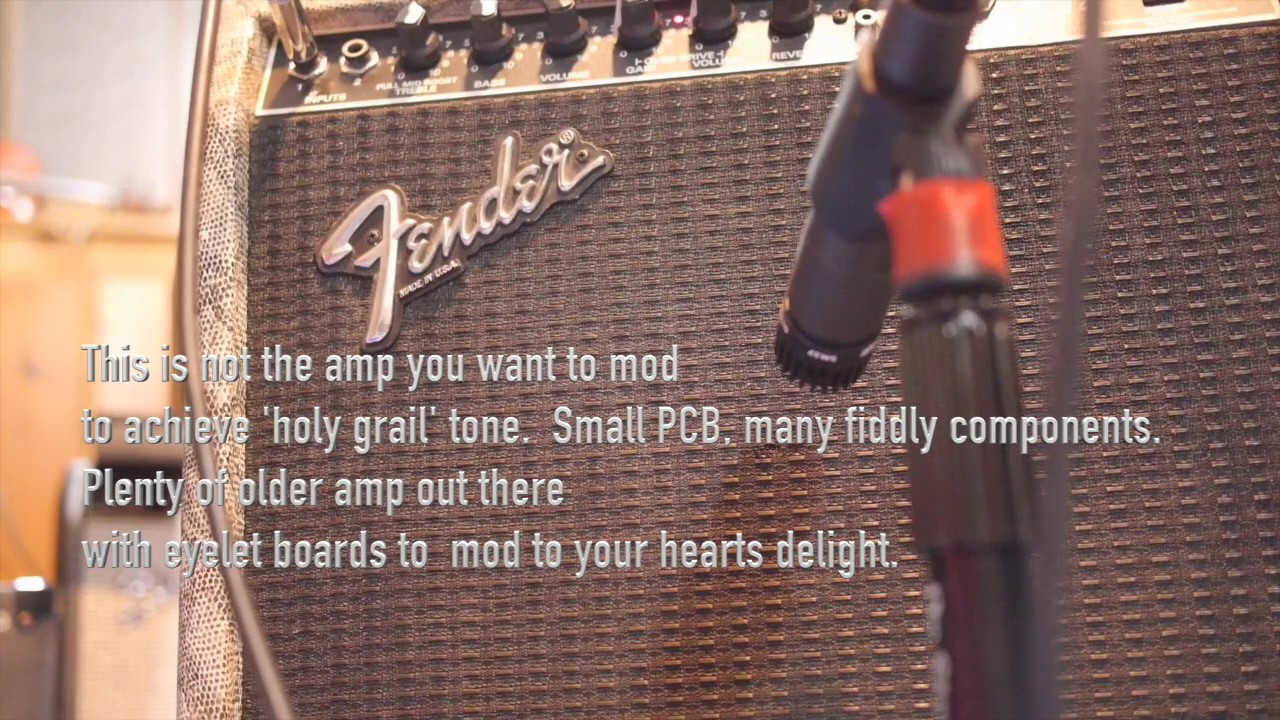 Fender Champ 12- Snakeskin tolex!