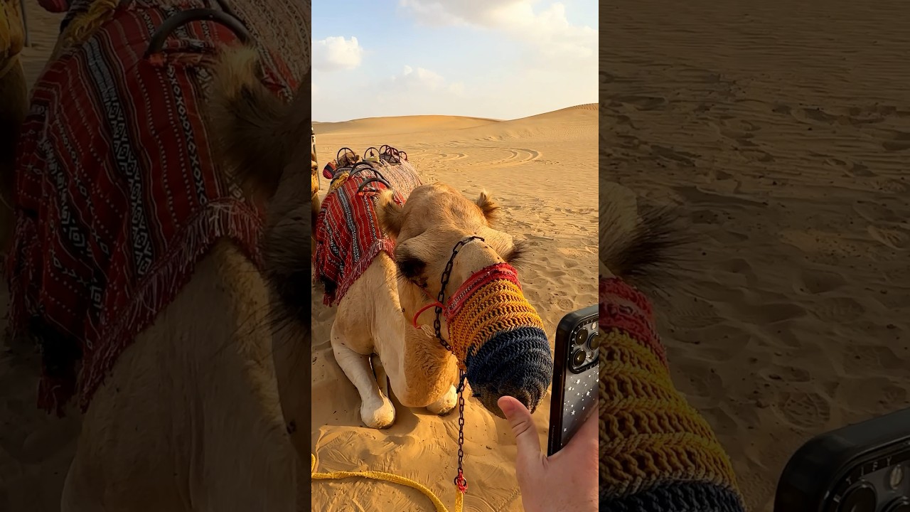 Keemokazi uses a camel to open his mom&rsquo;s phone 😂