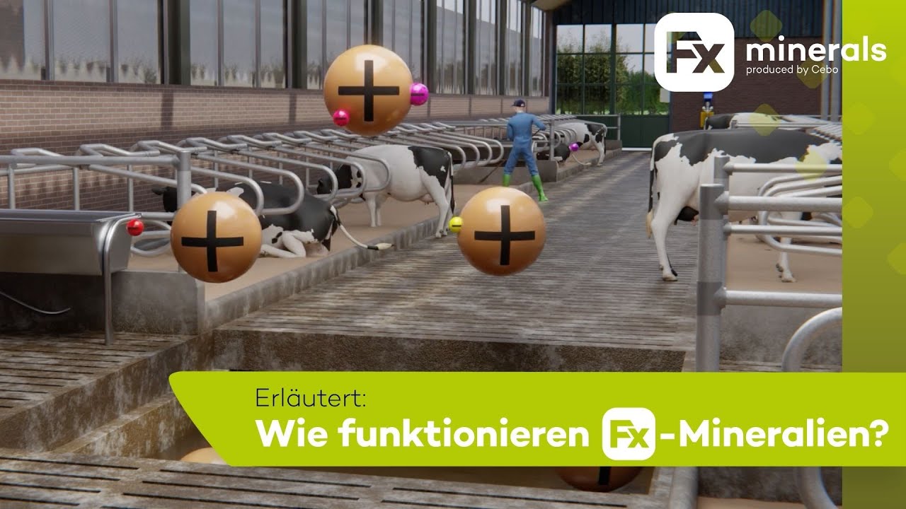 Wie funktionieren FX-Mineralien? | Berg
