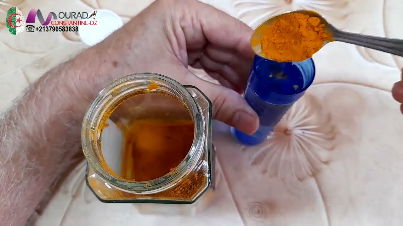 مراد قسنطينة ياكد على المادة التي في الكركم القاضية على المغابكتيريا والكوكسيديا بالدليل 2022