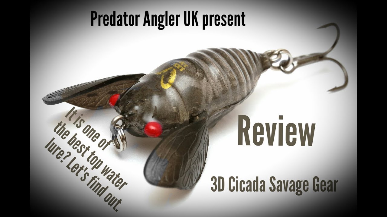 3D Cicada  Savage Gear