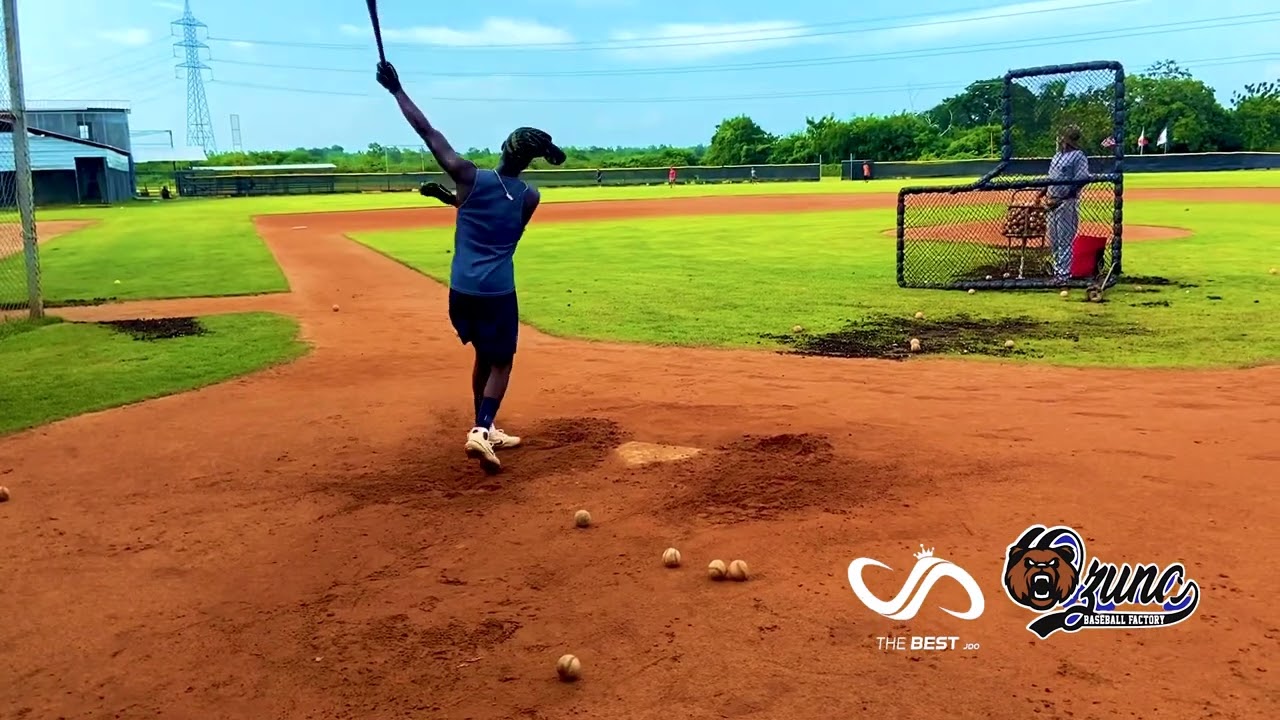 Felnin Celesten JD Ozuna