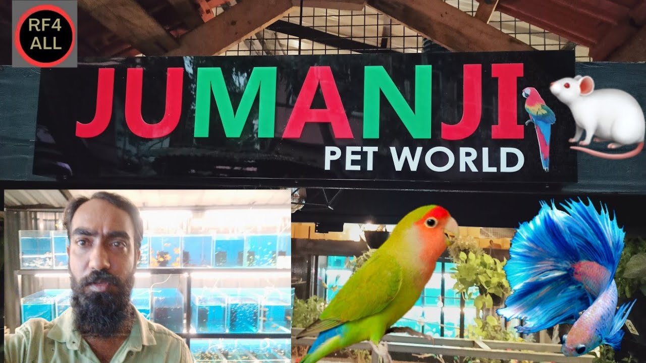 jumanji pet world || Calicut || fish|| birds........etc,