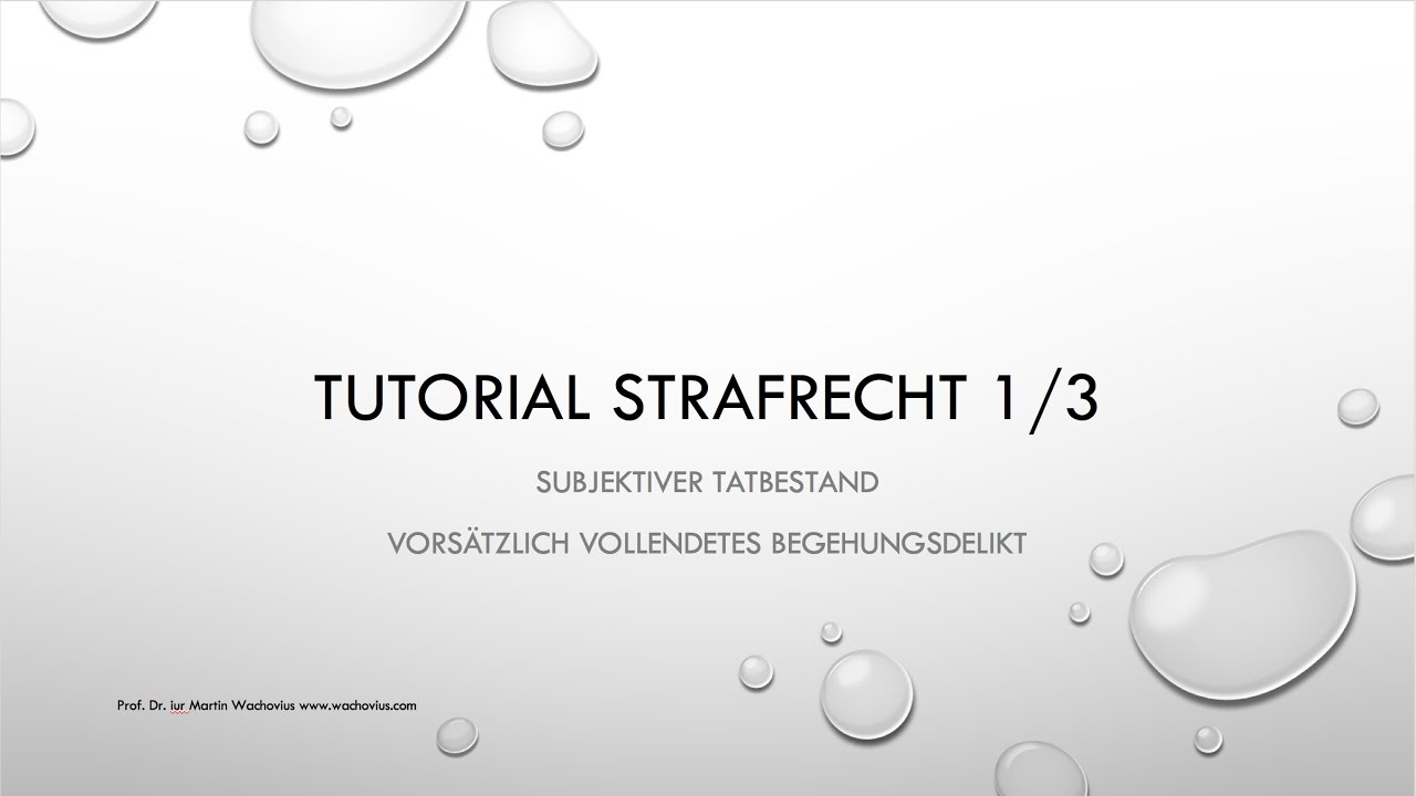 Tutorial Strafrecht subjektiver Tatbestand 1/3