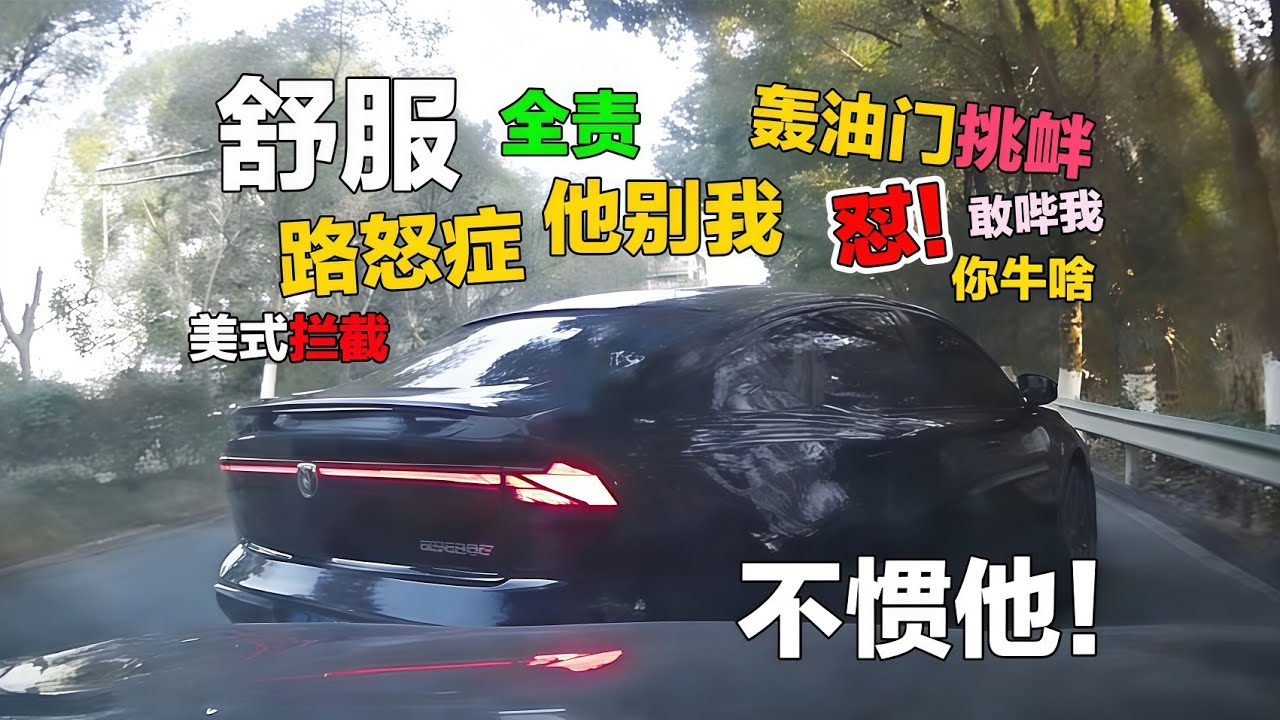 實線強行插隊失敗，下車就來一套組合拳，結局超舒適😌