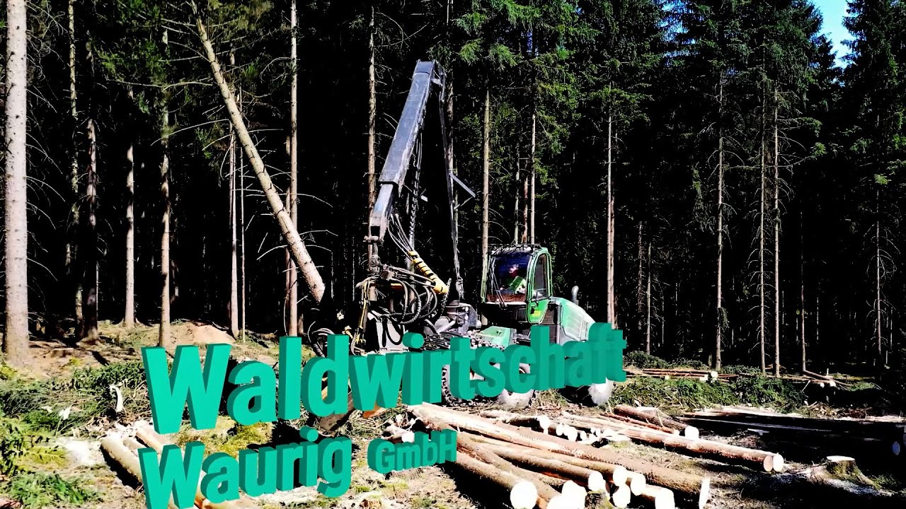Unternehmen im Fokus: Waldwirtschaft Waurig GmbH