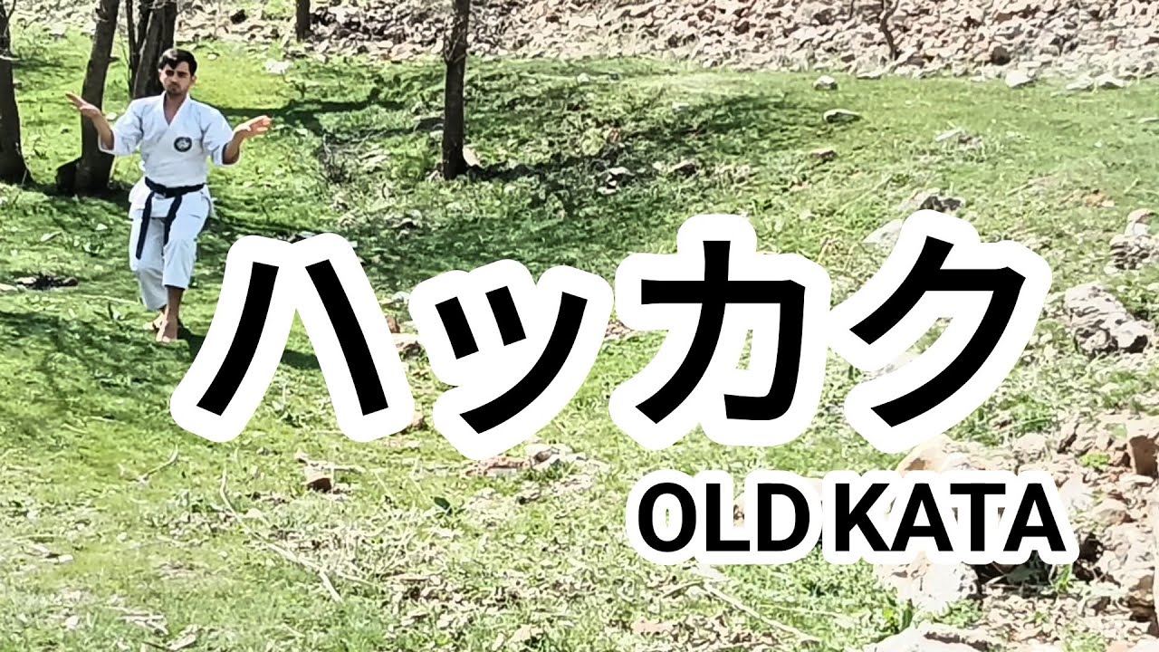hakkaku shitoryu karate kata #kata #shitoryu #karate