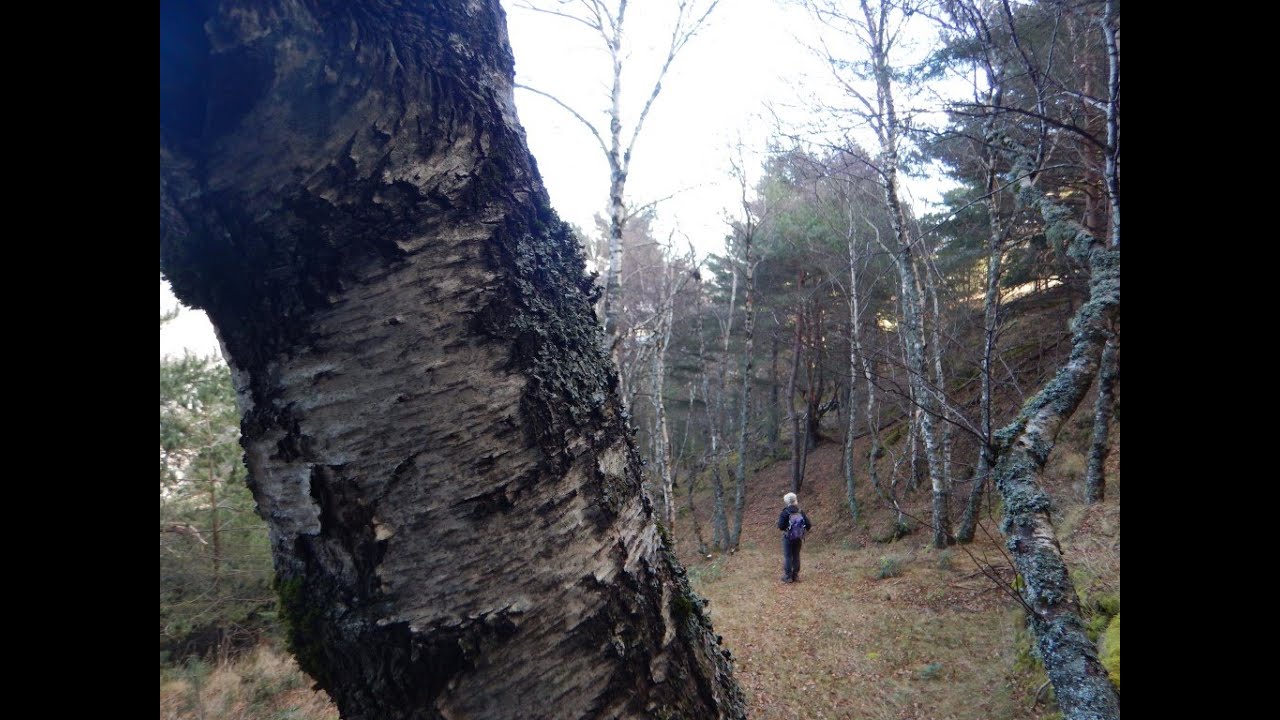 De Llavorsí a les Bordes de Arnui (Pallars Sobirà)