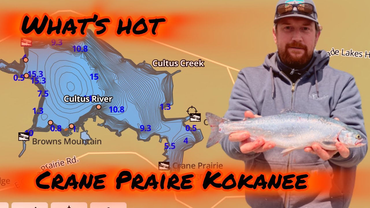 CRANE PRAIRE KOKANEE  2025