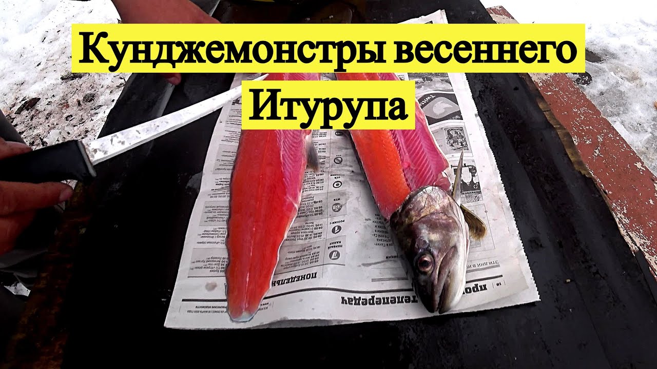Кунджемонстры весеннего Итурупа. Одиночный поход