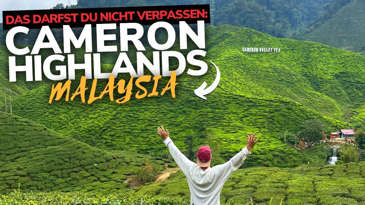 CAMERON HIGHLANDS Malaysia Highlights & Tipps für Malaysia Rundreise 2023