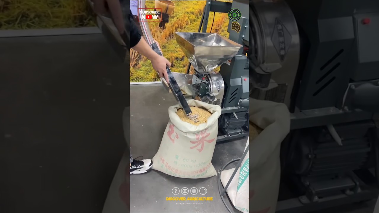 Amazing Rice Milling Machine