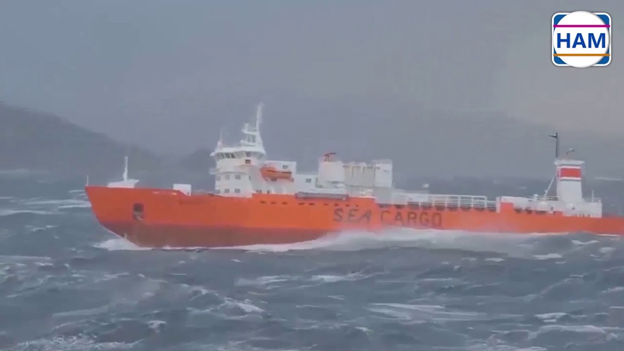 عرفتك من كل شيء ظهر - العفاسي