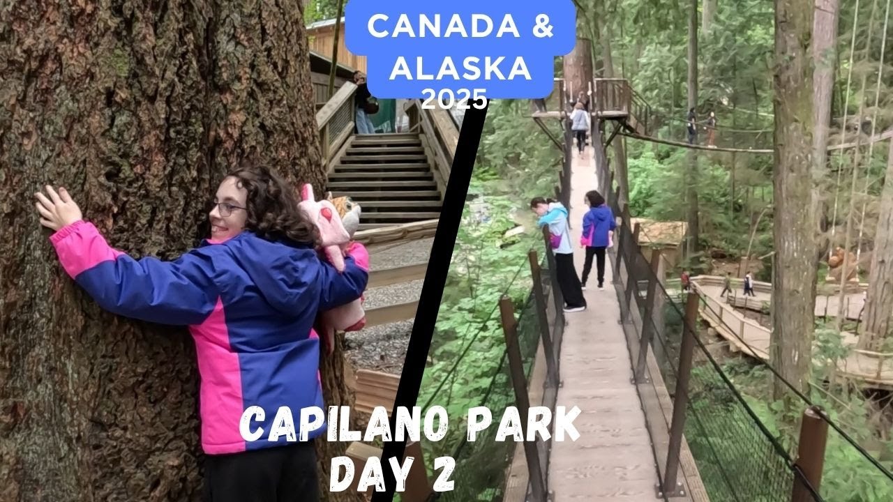 Canada's Capilano suspension bridge park | Worth it? A Great day out