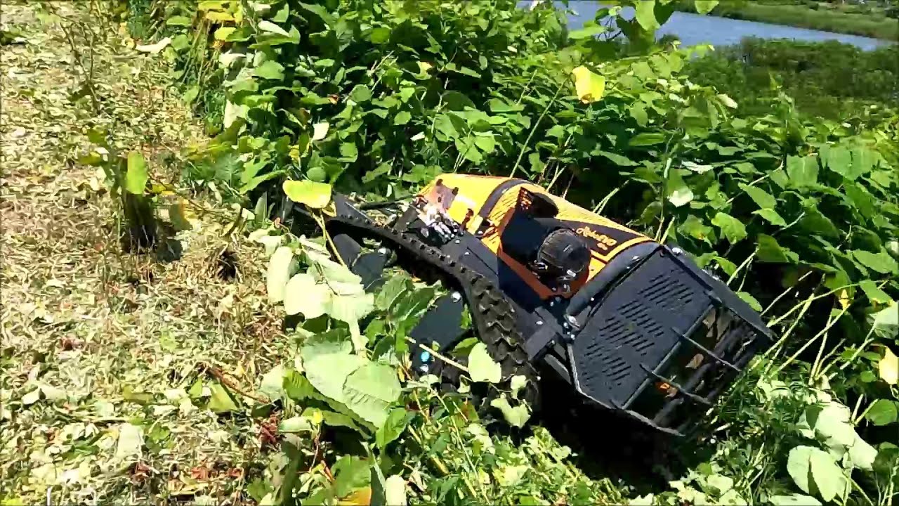 ラジコン式ハンマーナイフモア　イタドリ群生エリア　除草試験動画