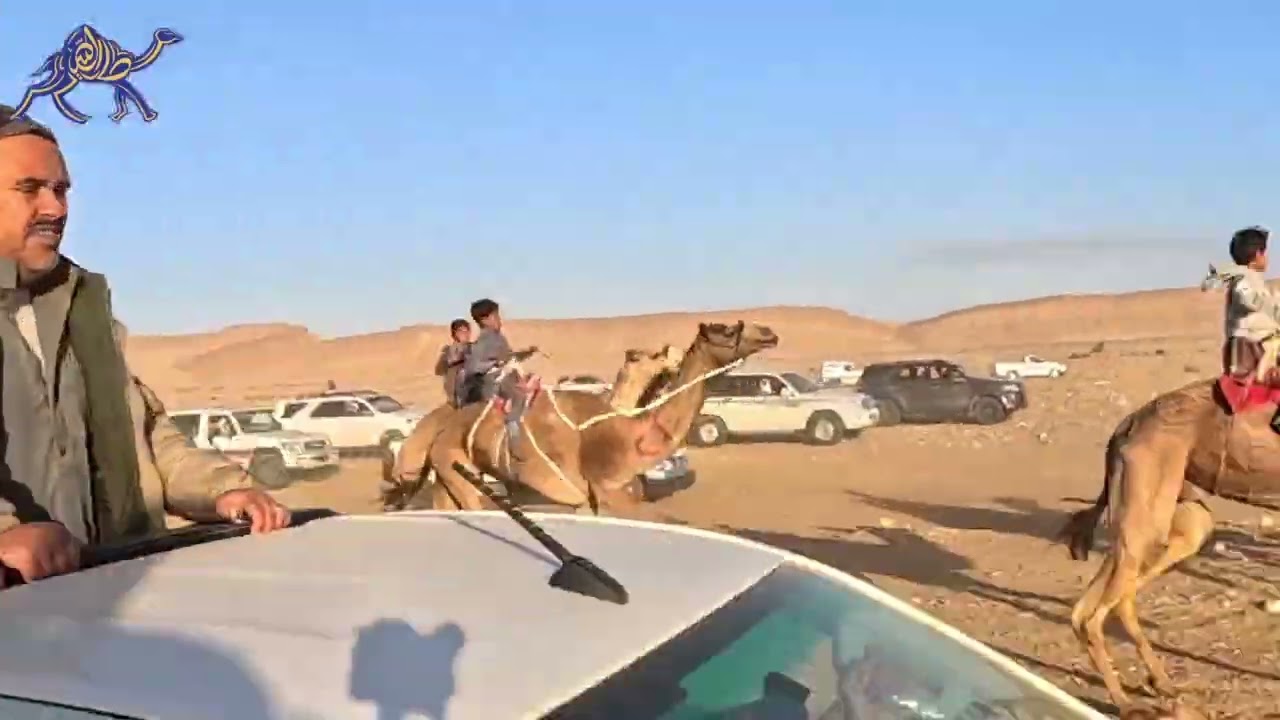 زلزال ينتزع رمز بطولة الترابين بارضية ميدان السر 