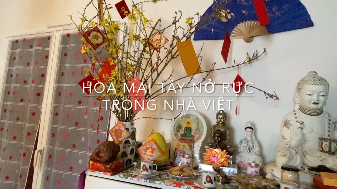 Sắp Tết Rồi Gia Đình VIỆT Ở Châu Âu Sẻ Như Thế Nào Ăn Tết Ra Sao ???
