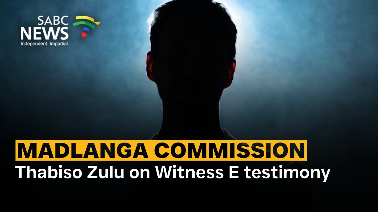 Madlanga Commission | Thabiso Zulu on Witness E testimony