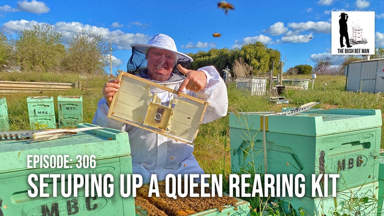Настройка системы выращивания пчелиных маток. Ящик для выращивания | The Bush Bee Man
