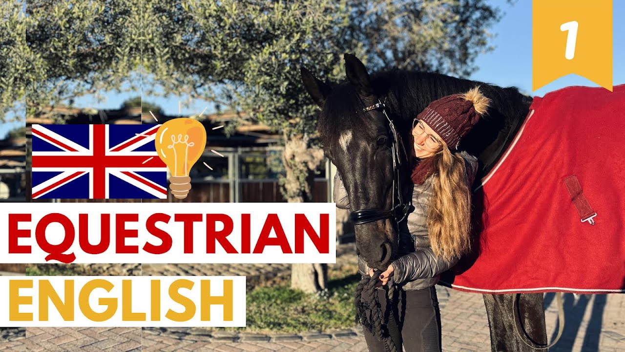 Aprende inglés básico para equitación 🇬🇧(Parte 1)