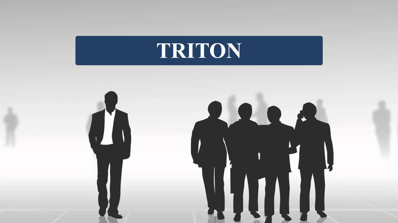 Triton background checks for businesses