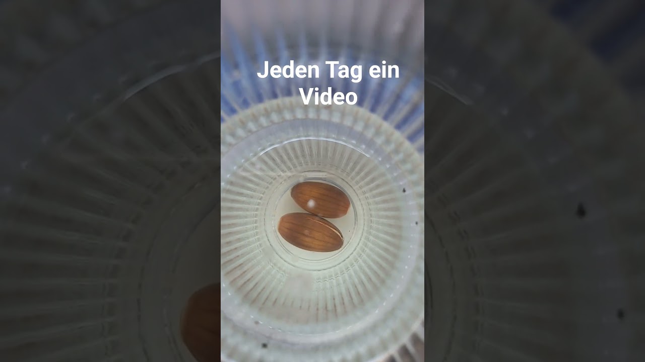 Eichen Bäume