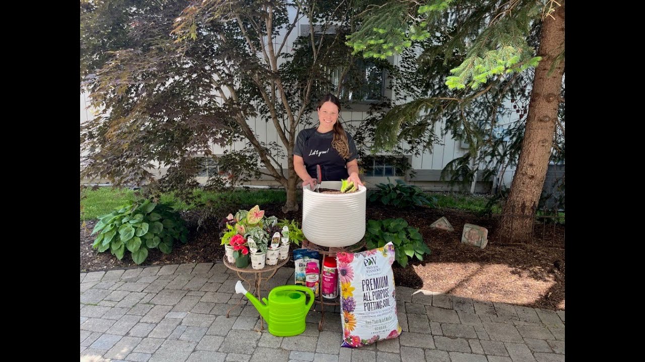 Let's Grow: Summer Container Garden for Shade ENGLISH GARDENS