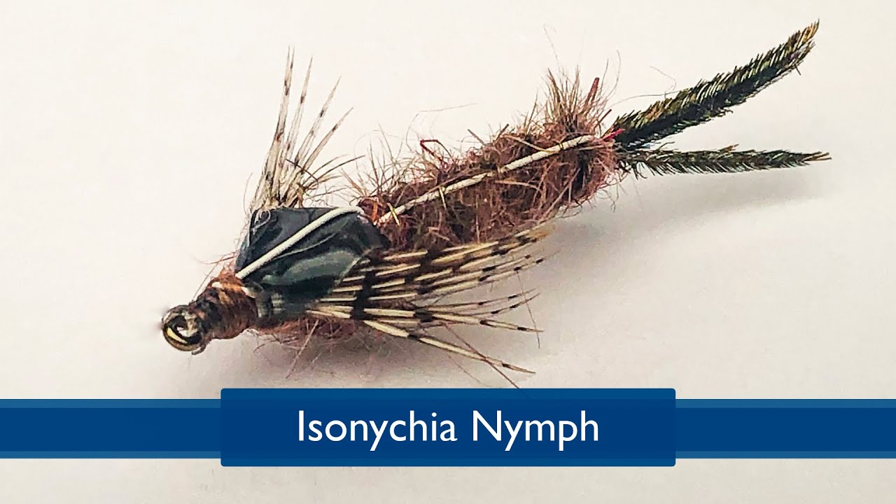 Tying the Isonychia Nymph with Rich DiStanislao