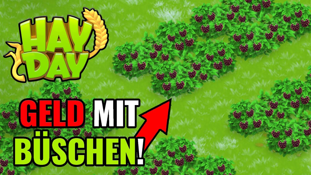 IHR M&Uuml;SST B&Uuml;SCHE ANPFLANZEN! Hay Day 🤑