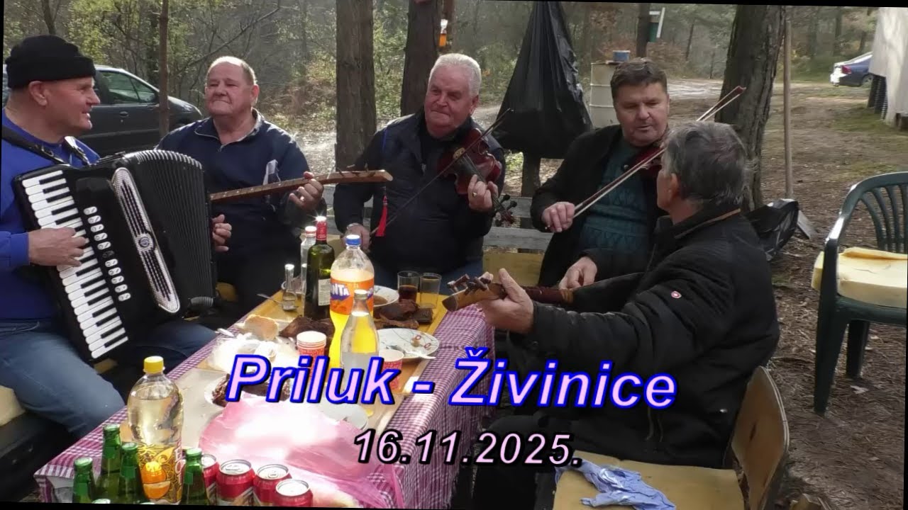 Poletjela soko ptica siva. Halčo, Mehmed, Razem, Bebe & Rifat Rikonja.