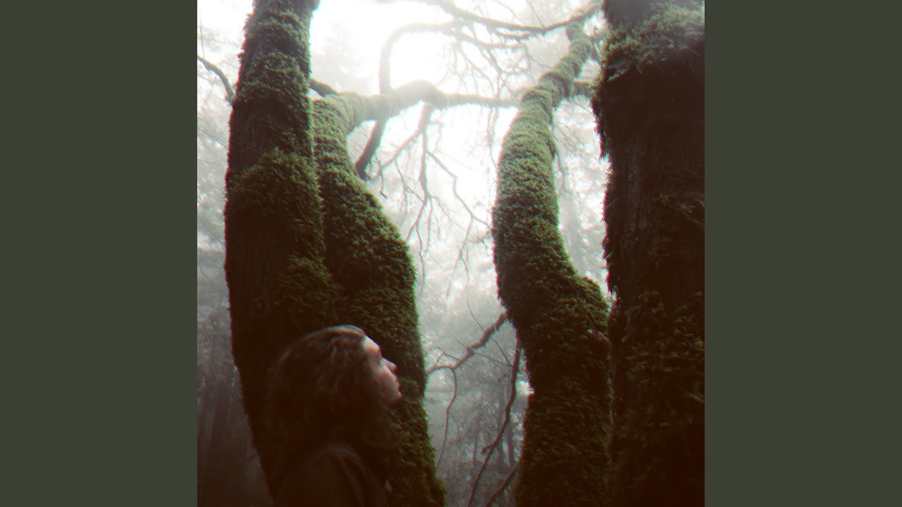 Running Through the Forest