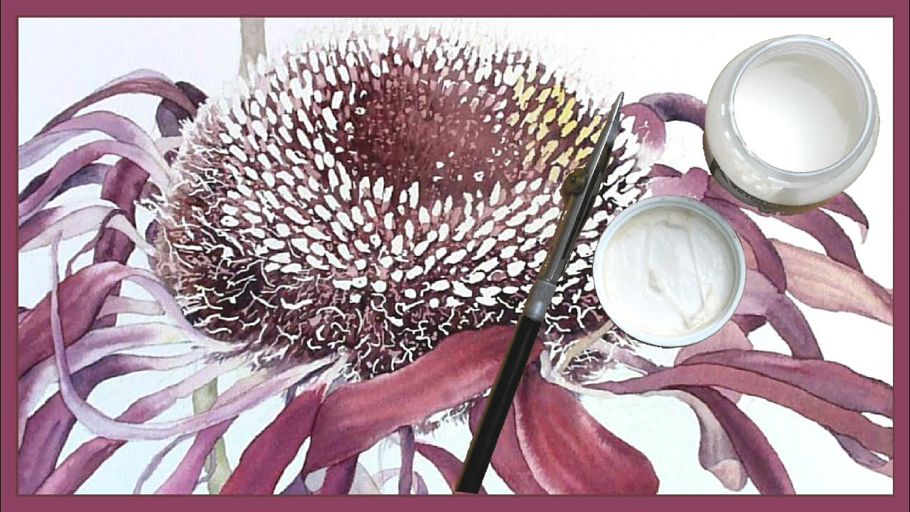 BOTANICAL ART Fading Gerberas - using Masking Fluid
