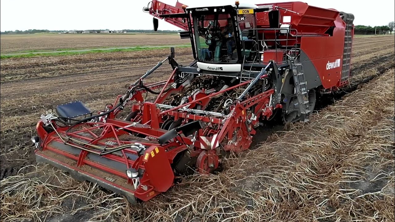 Dewulf Kwatro Xtreme - 4 Row Self Propelled Sleving Harvester