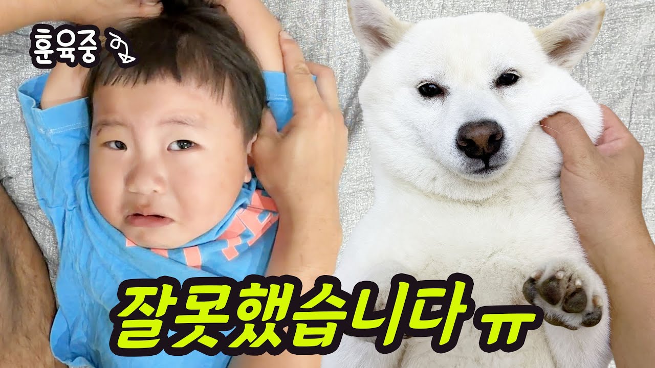 아기를 개처럼 훈육하는 철없는 아빠 / 복합식 가습기 아이닉 IH05UV 찐 실사용 리뷰