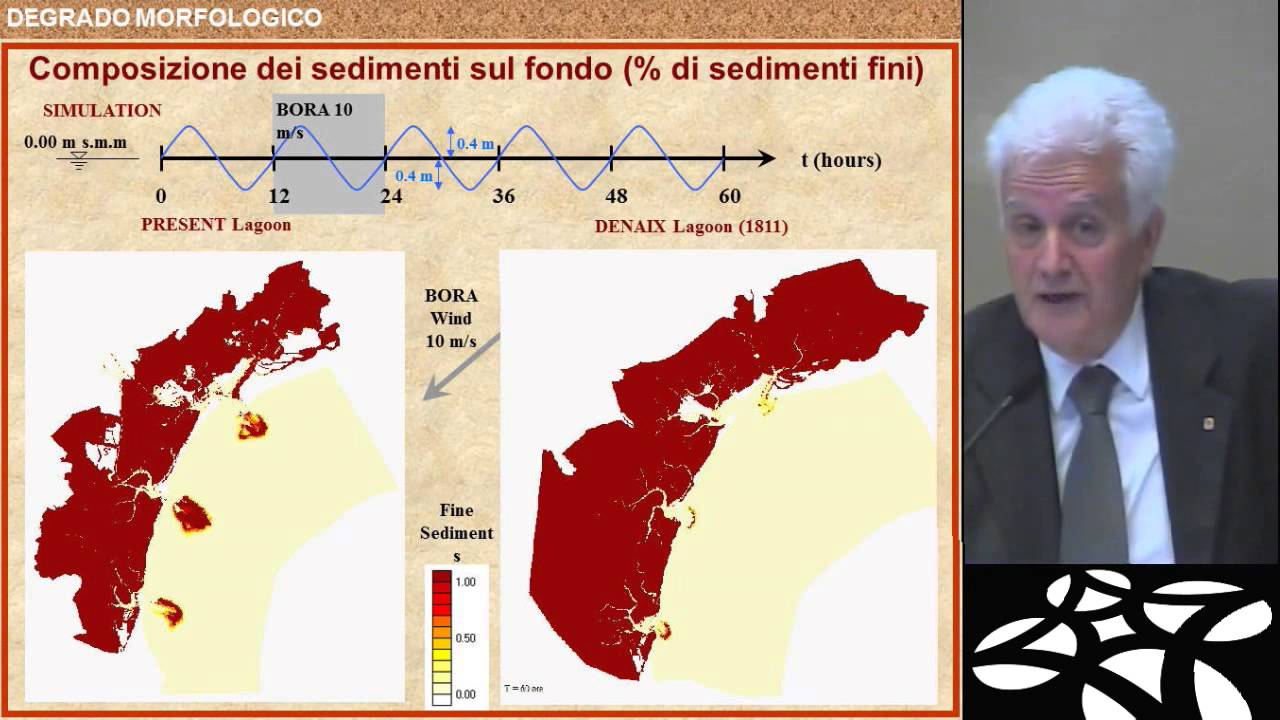 Governare le Acque. Salvaguardia e gestione della Laguna di Venezia - D'Alpaos
