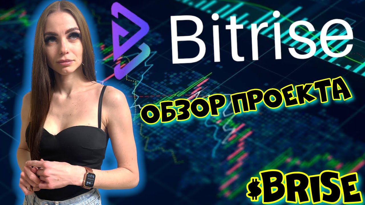 Bitgert - обзор проекта! Токен $BRISE  с хорошим потенциалом к росту!!!