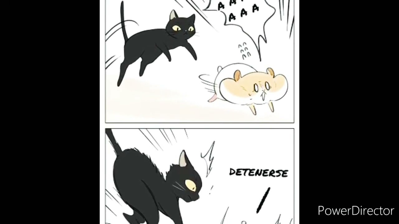 🐱🐹 Hamster y gato ~ manhwa Comic 🐹🐱