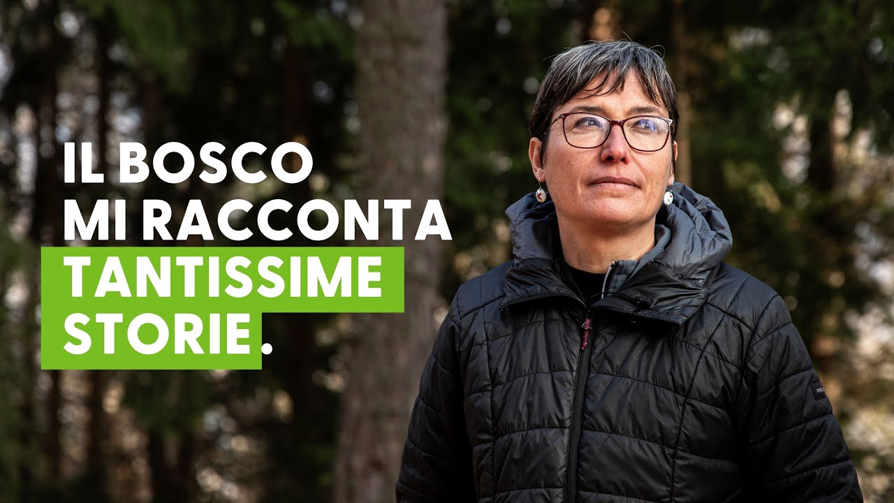 Paola: furèsta nei boschi dei Mòcheni